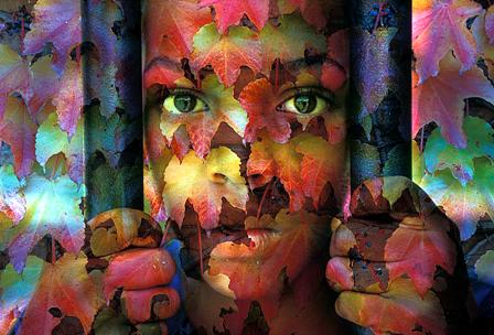 Boy in Leaves (Photograph by Bernard Kleina)